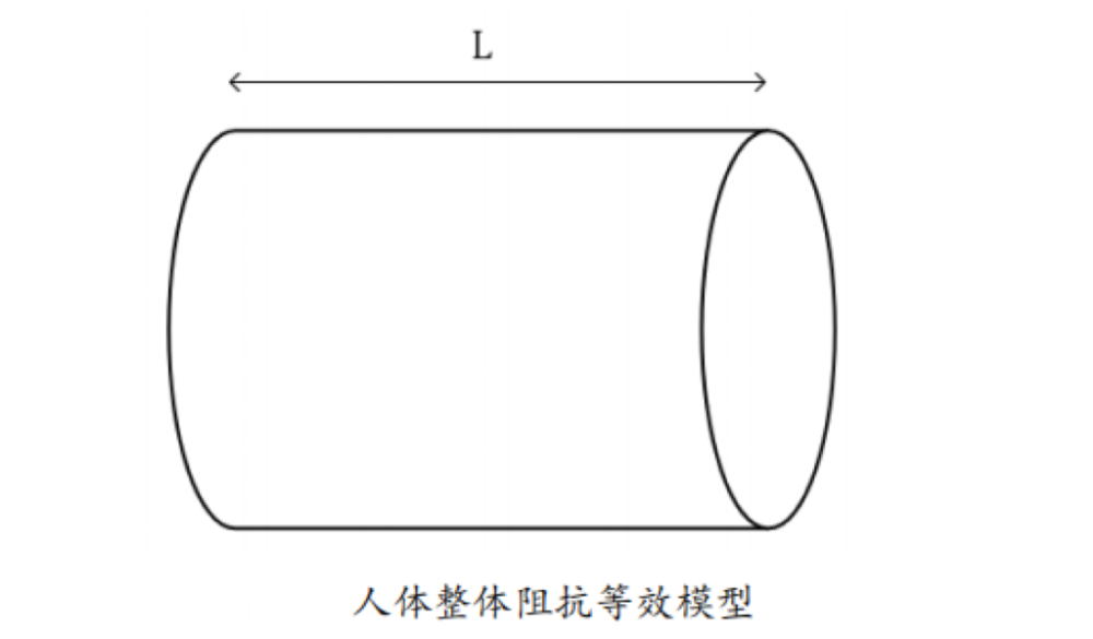 体脂的？数据准确吗？一起来了解pg电子模拟器体脂秤是怎么测出(图2)